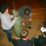 Christbaum-Krippe-Aufbau MaHi